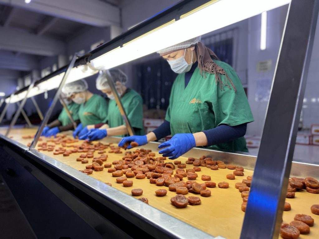 photo1648208779-1024x768